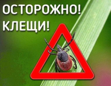 Профилактическая беседа «Осторожно, клещи!»
