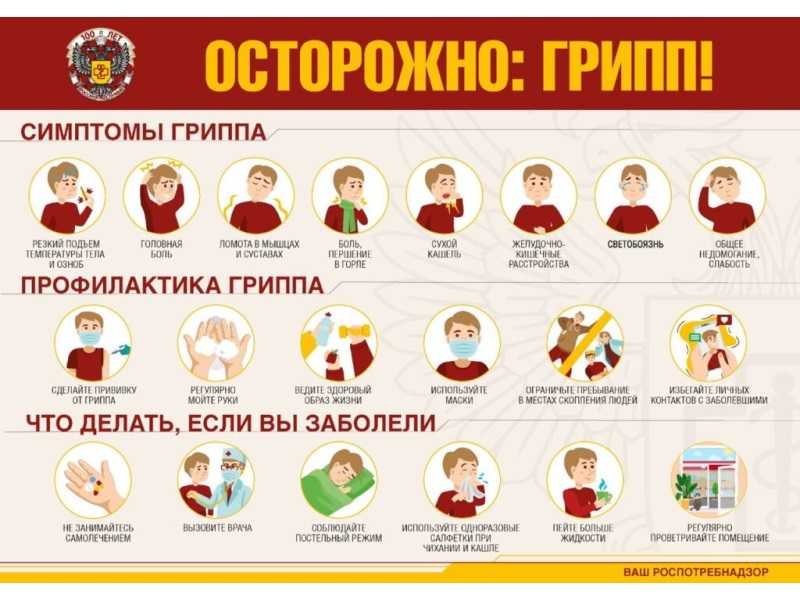 Профилактика гриппа и респираторных инфекций