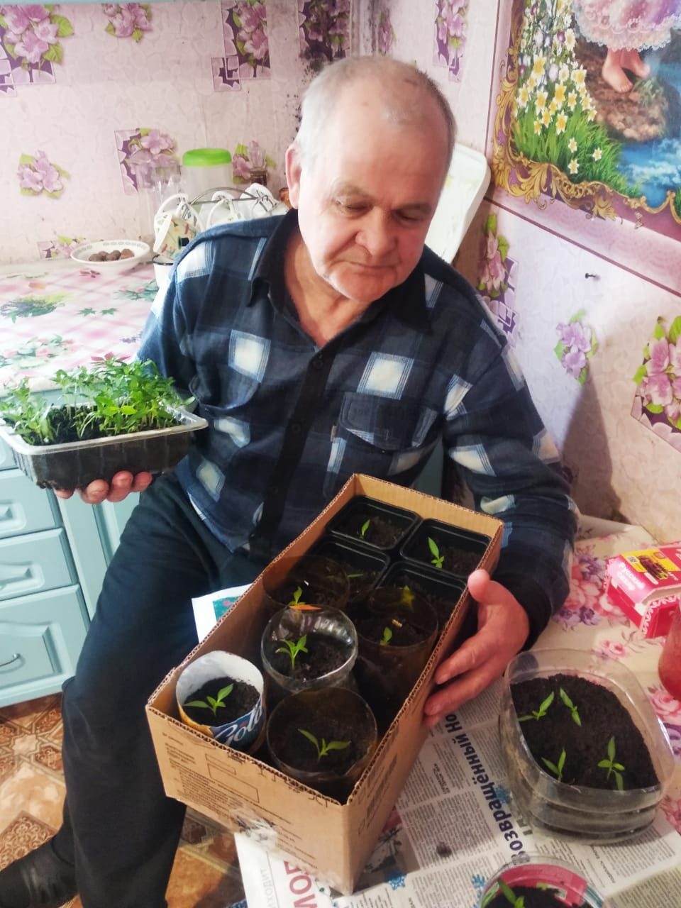 Пикируем рассаду 