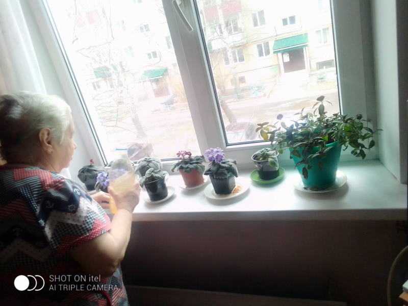 Инновационные формы работы в отделениях надомного обслуживания. Гарденотерапия.